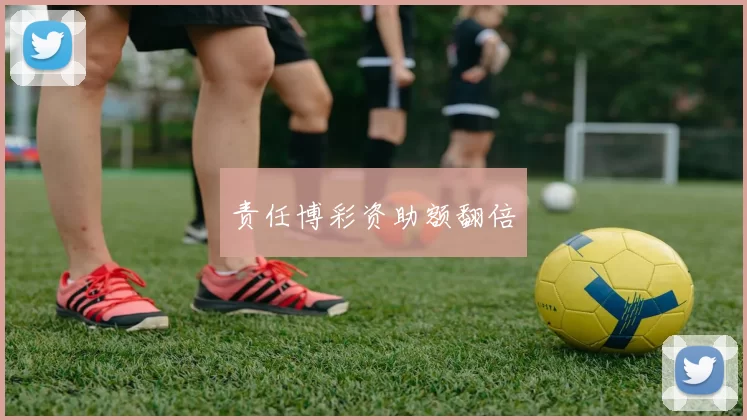 责任博彩资助额翻倍