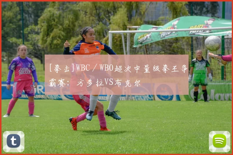 [拳击]WBC／WBO超次中量级拳王争霸赛：方多拉VS布克尔