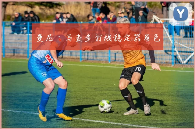 曼尼·马查多打线稳定器角色